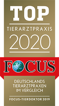 Focus Siegel 2020