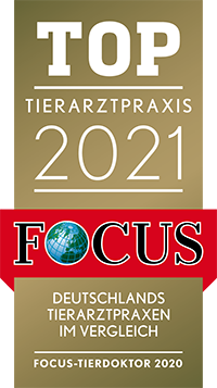 Focus Siegel 2021