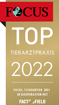 Focus Siegel 2022