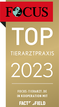 Focus Siegel 2023